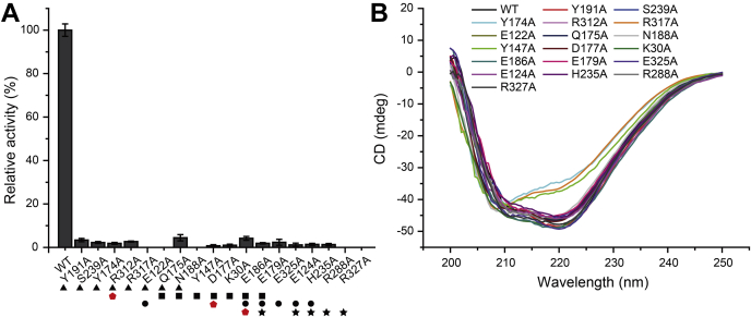 Figure 4