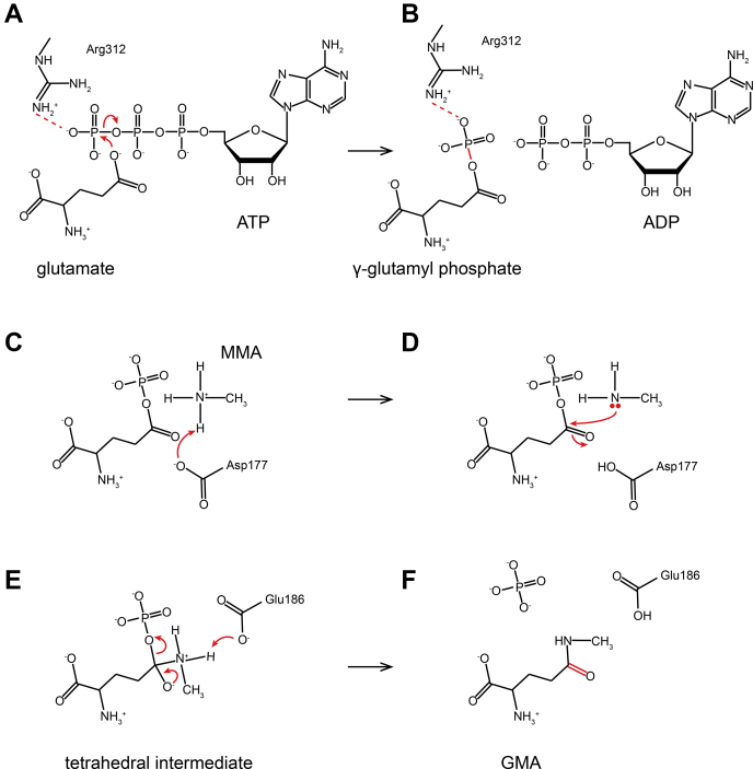 Figure 7