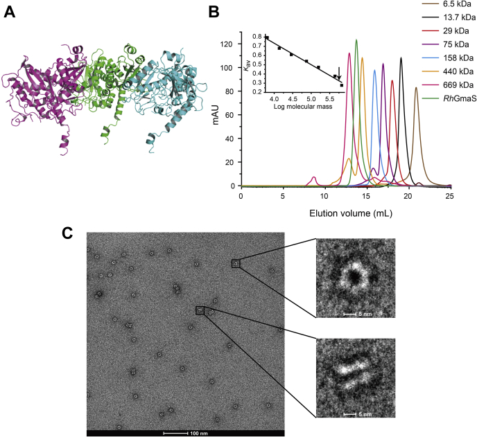 Figure 2