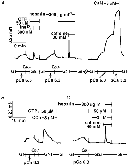 Figure 13