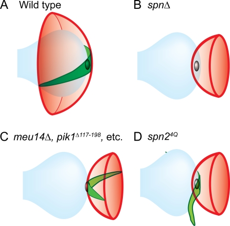 FIG. 13.