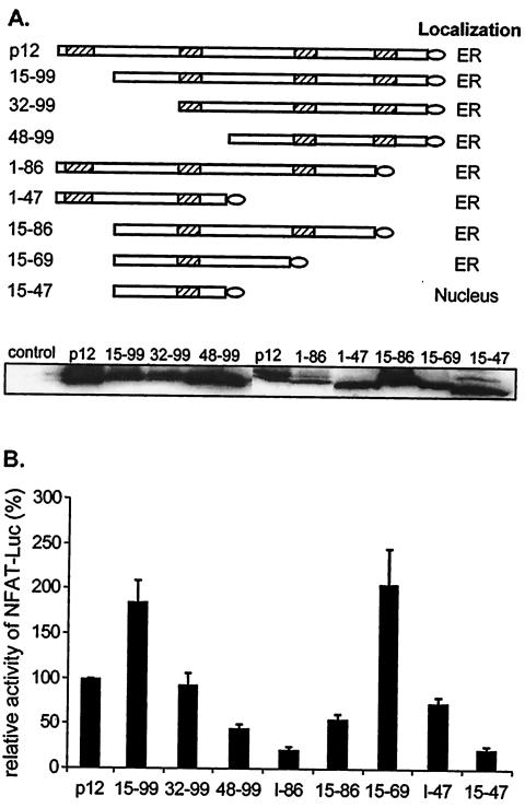 FIG. 7.