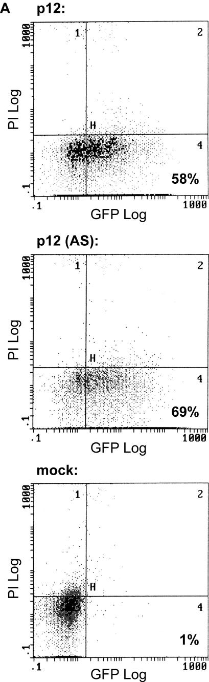 FIG. 5.