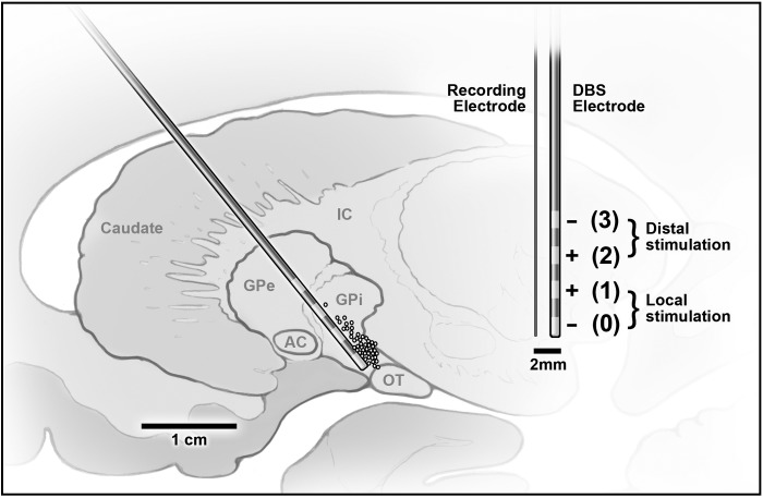 Fig. 1.