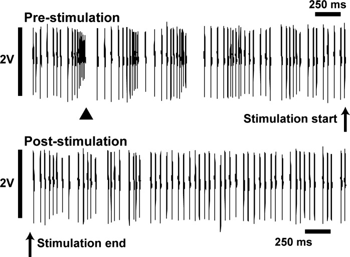 Fig. 6.