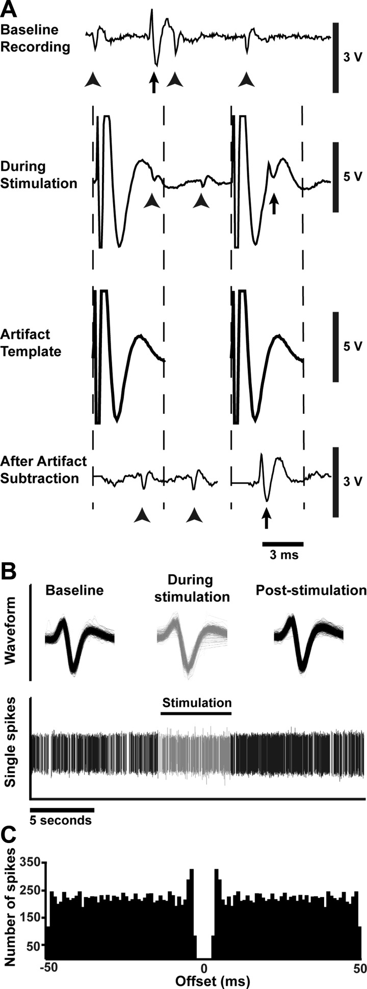 Fig. 2.