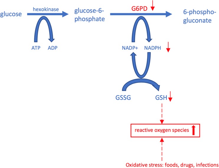 Fig. 1