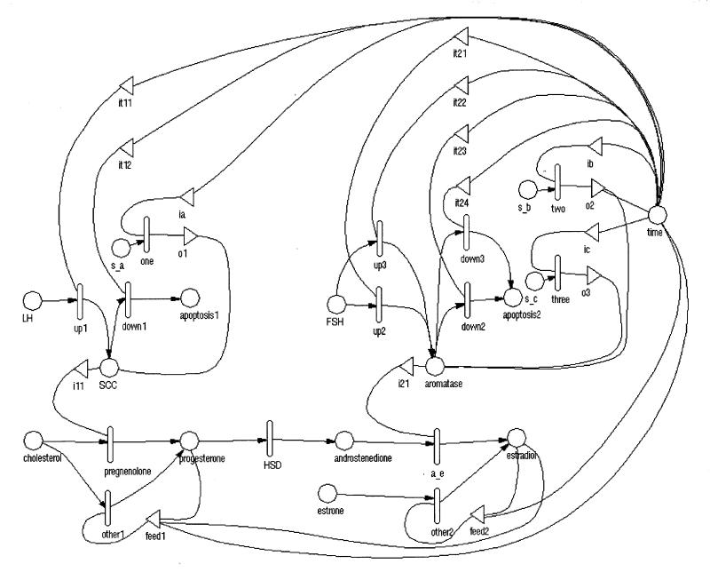 Figure 2 