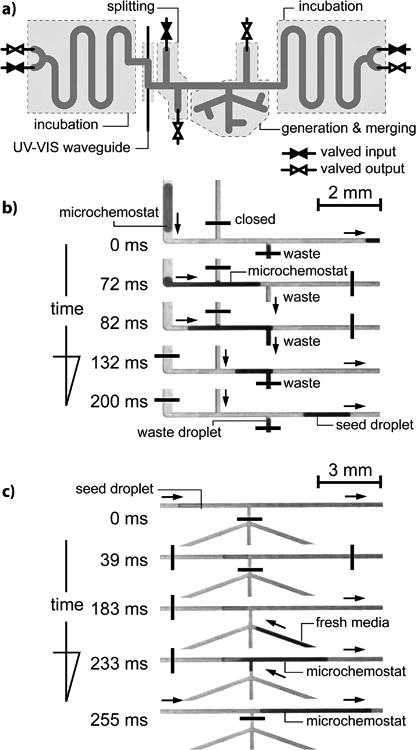 Fig. 2