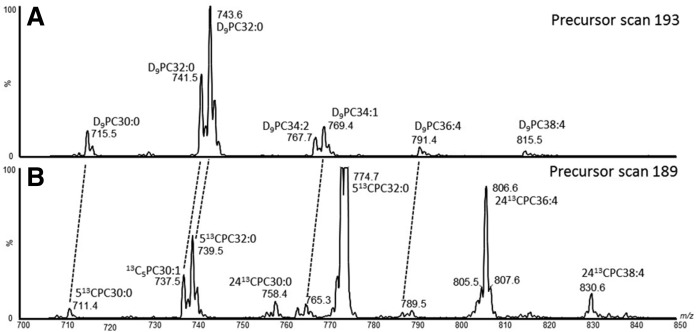 Fig. 5.