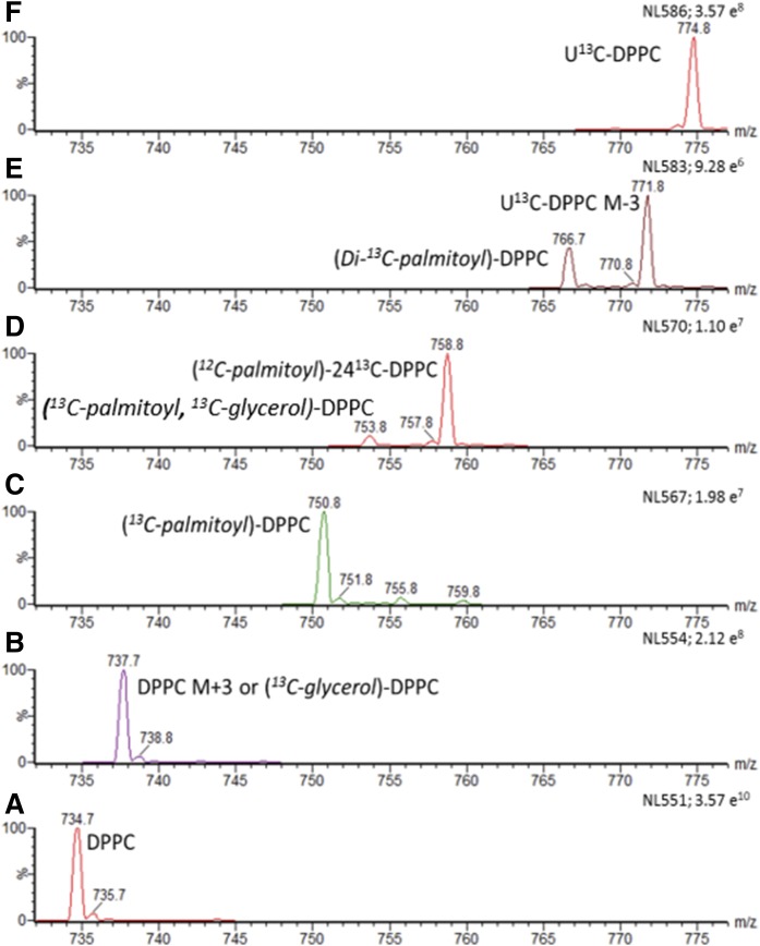 Fig. 8.