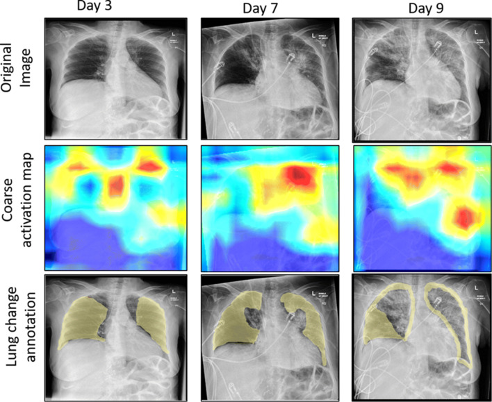 Fig. 8