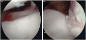 Fig. 2: