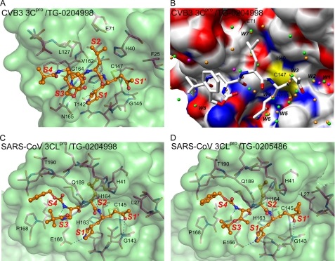 FIGURE 4.