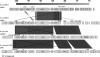 FIG. 7.