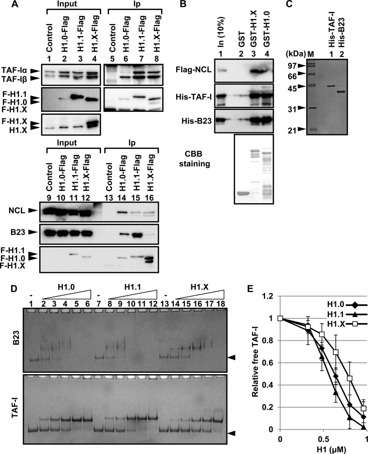 FIG 3