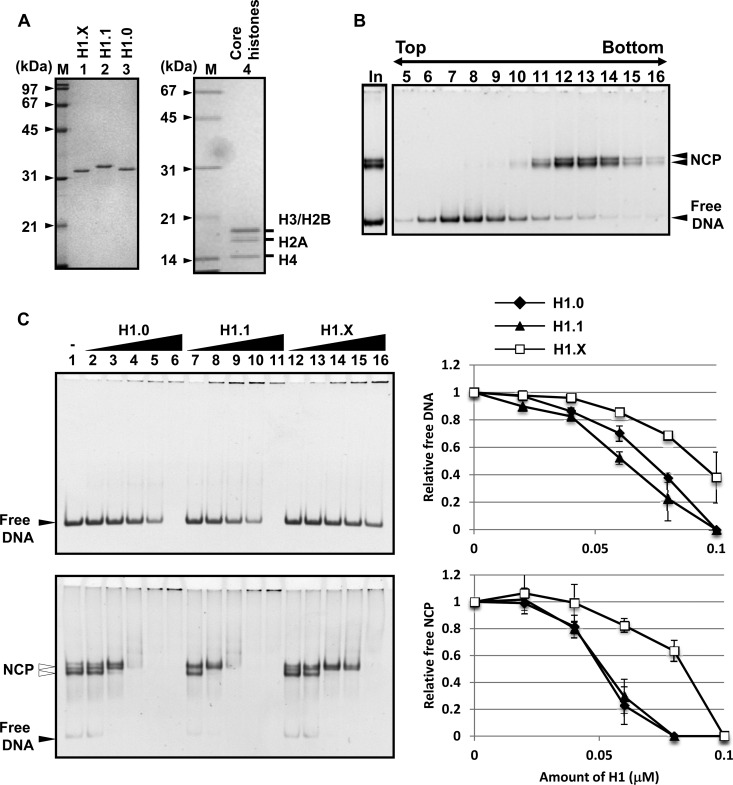 FIG 2