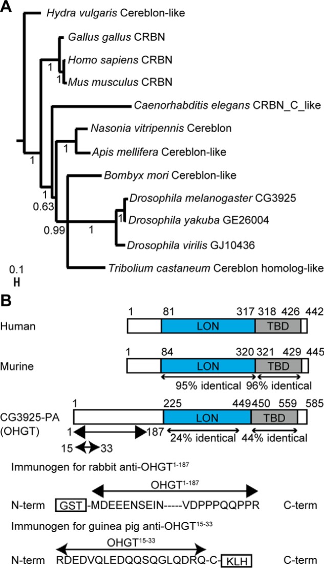 FIGURE 1.