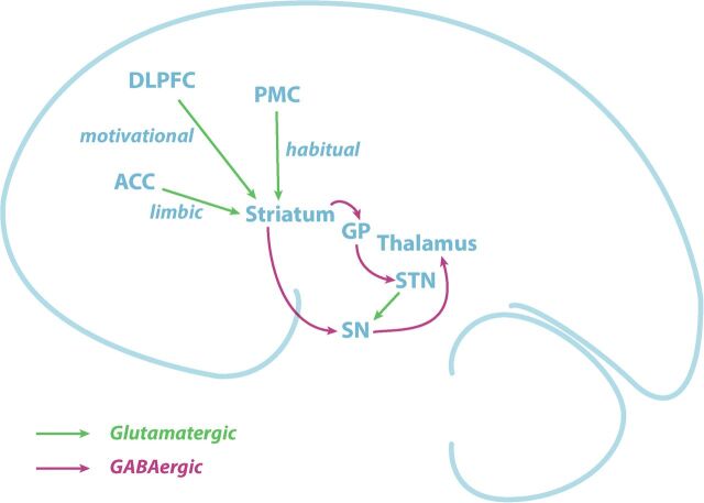 Fig 1.