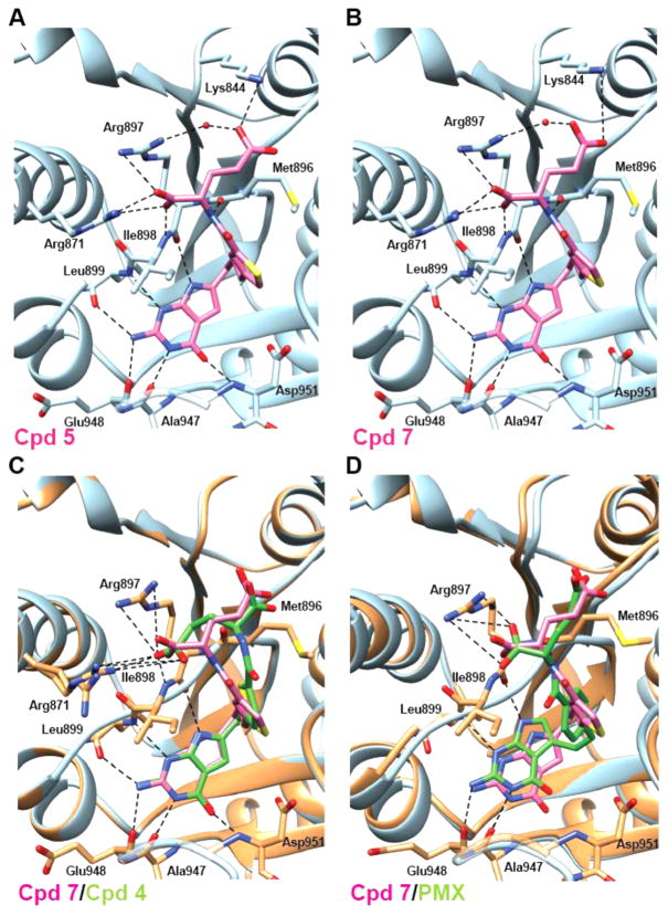 Figure 11