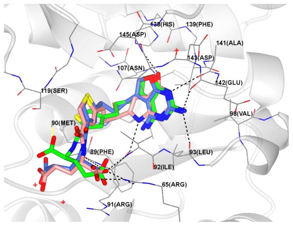 Figure 13