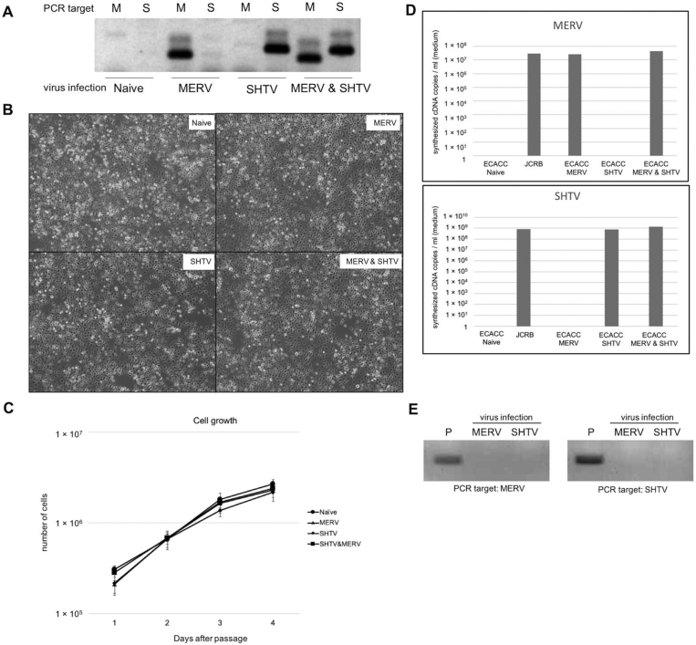 Fig. 3