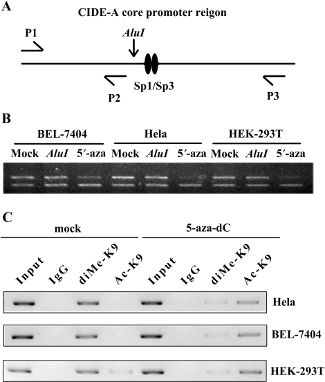 Figure 7.