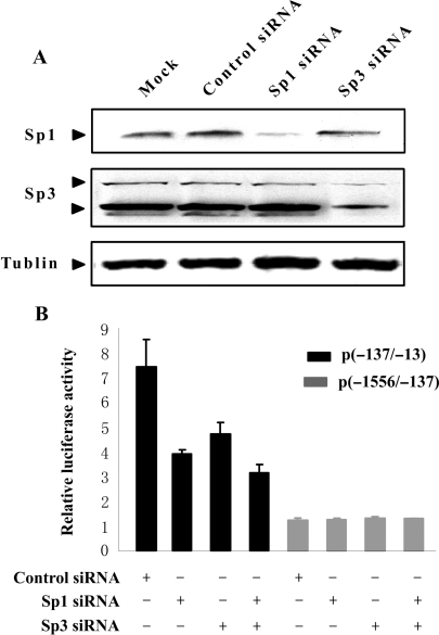 Figure 9.