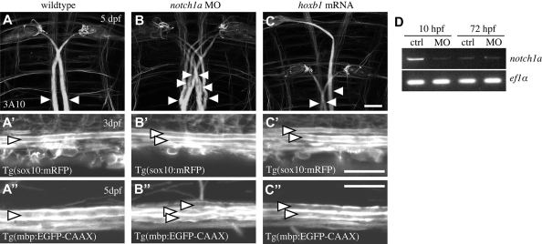 Fig. 3.