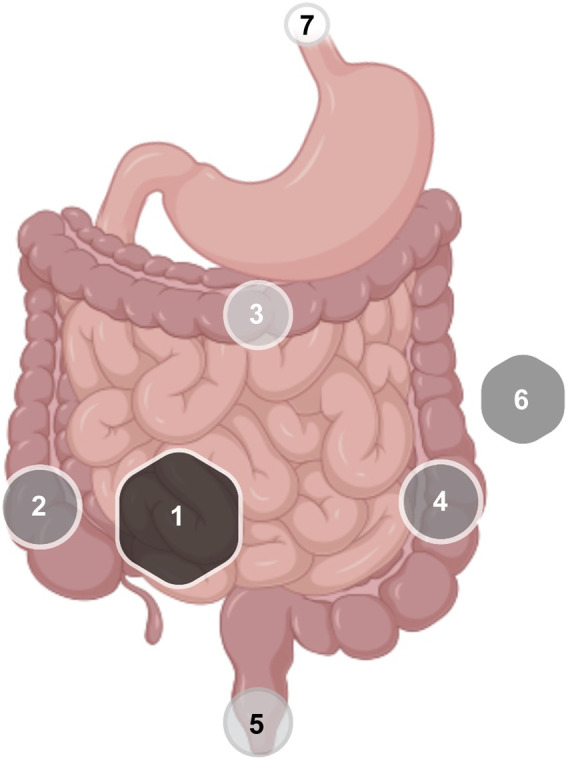 FIGURE 3