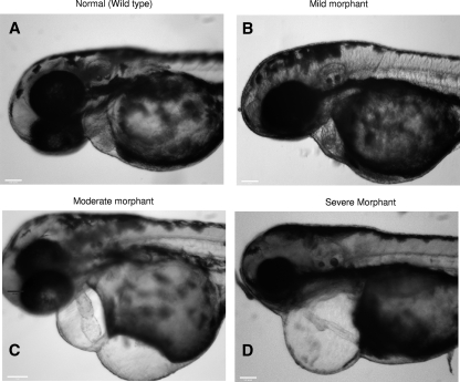 FIG. 8.