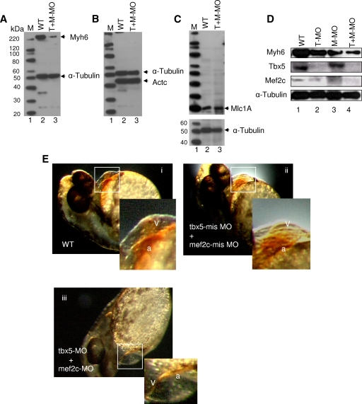 FIG. 7.