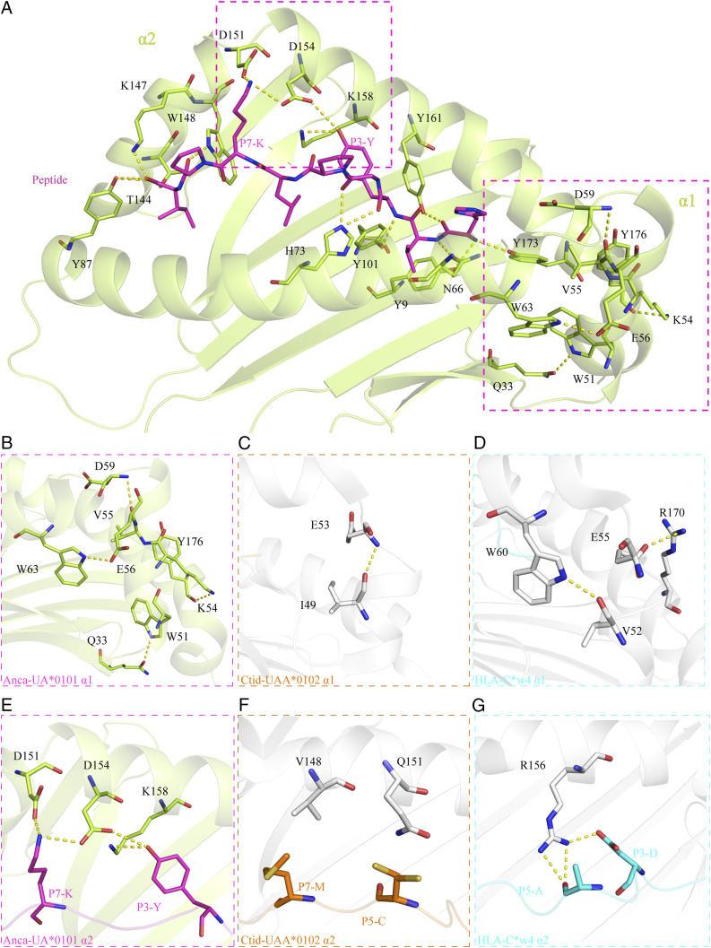 FIGURE 7.