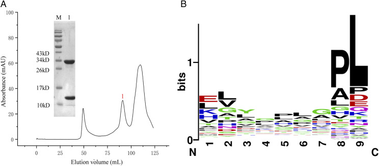 FIGURE 10.