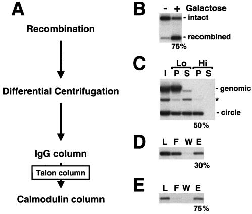 FIG. 2.