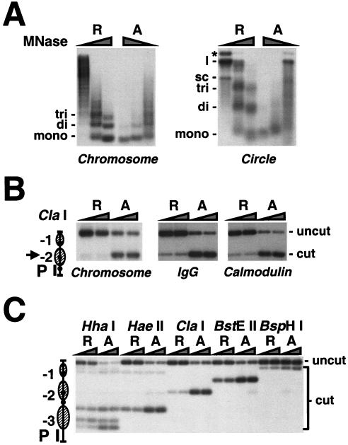 FIG. 4.