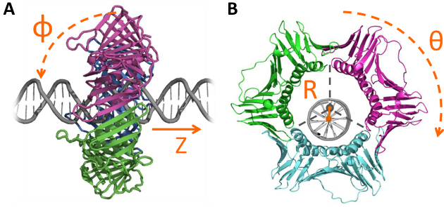 Figure 1.