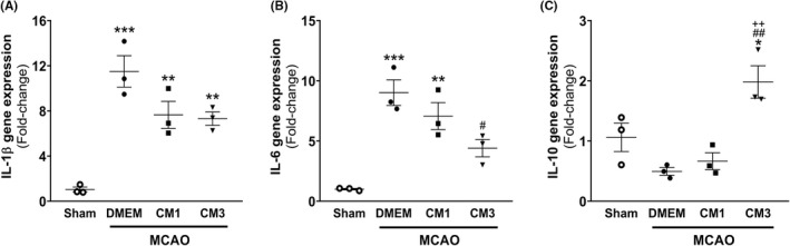 FIGURE 3