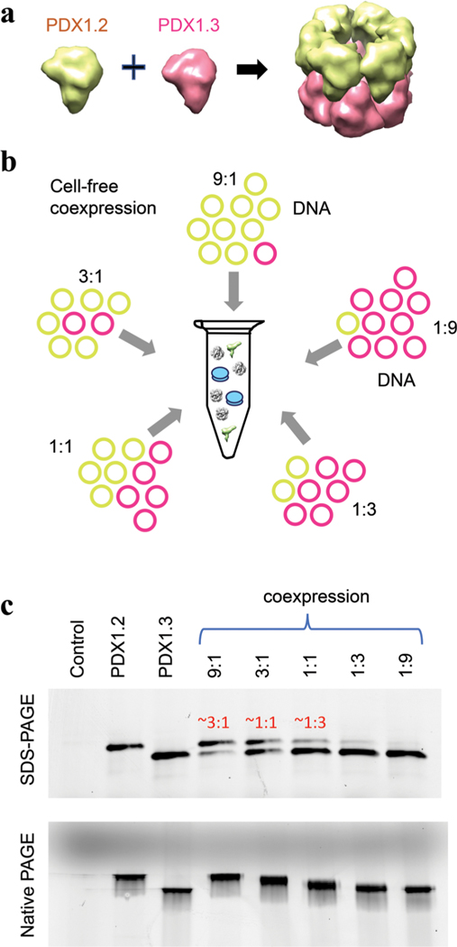 Figure 1.