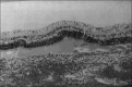 Figure-10