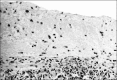 Figure-5