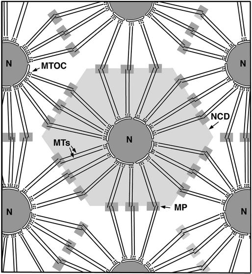 Figure 12.