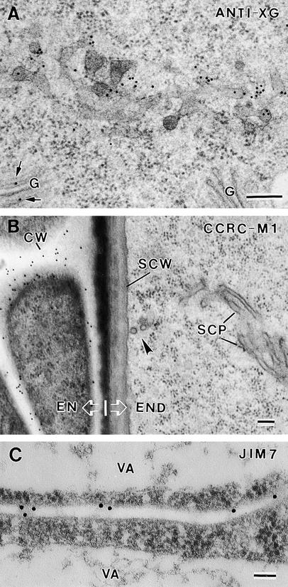 Figure 10.