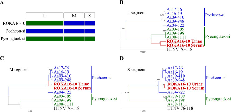 Urinary genome detection and tracking of Hantaan virus from hemorrhagic ...