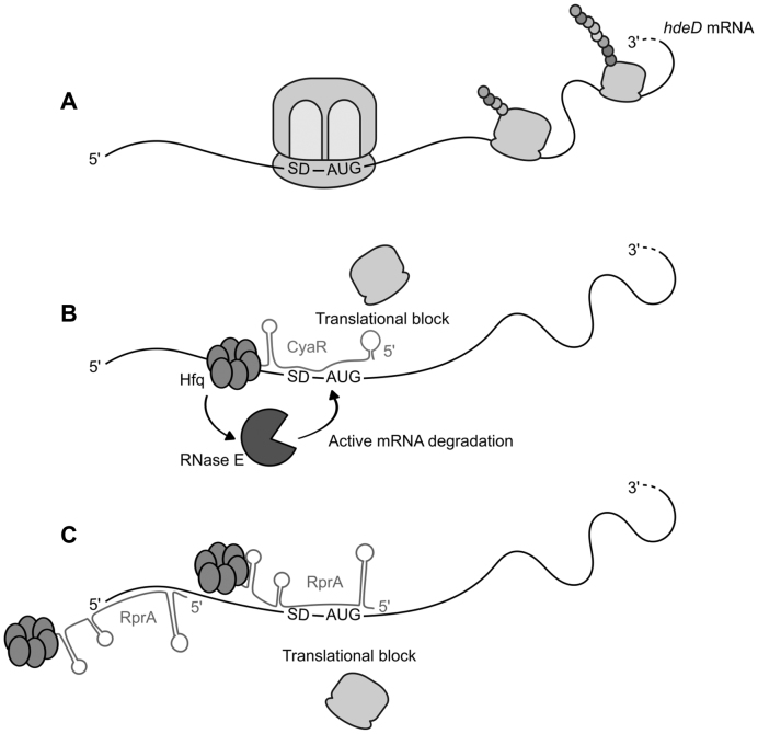 Figure 7.