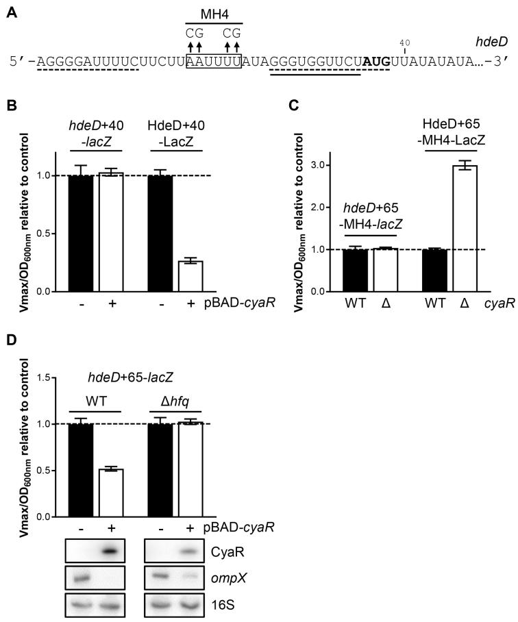 Figure 4.