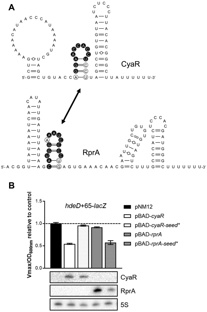 Figure 5.