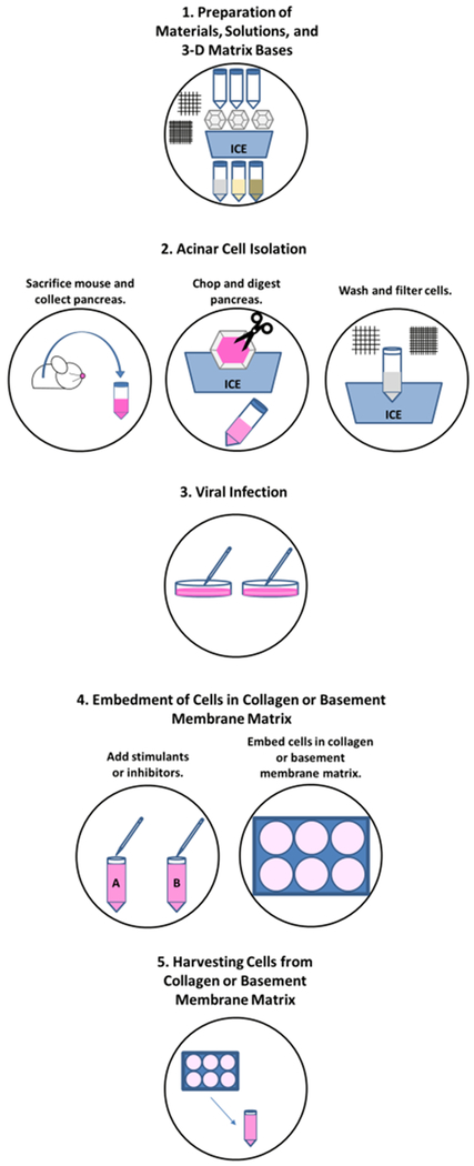 Figure 1: