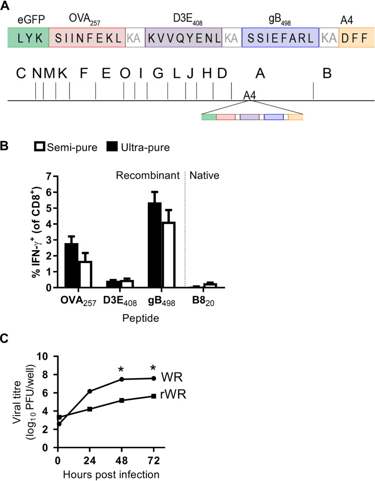 FIG 4