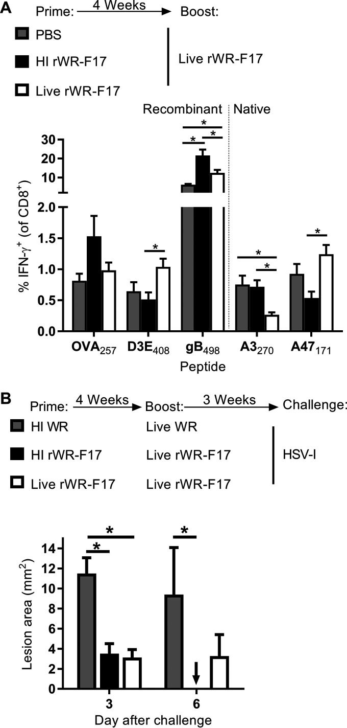 FIG 6